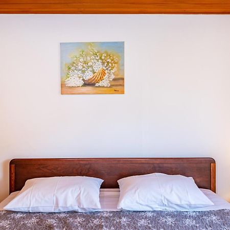 Apartment Sea And Mountain With Pool Novigrad  ภายนอก รูปภาพ